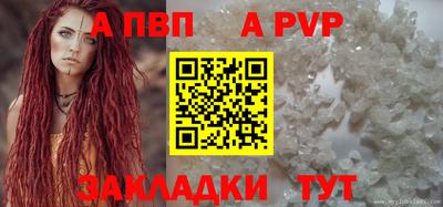 амфетамин Гатчина