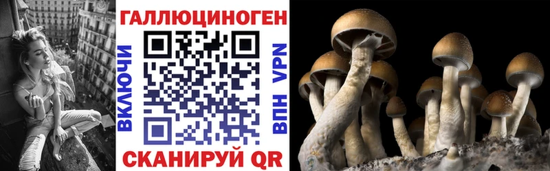 Галлюциногенные грибы мицелий  гидра tor  Урюпинск  где можно купить  