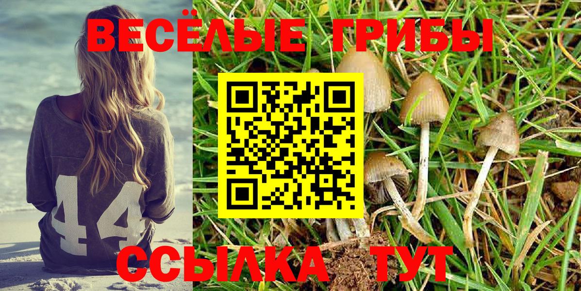 Псилоцибиновые грибы прущие грибы  Псилоцибиновые грибы GOLDEN TEACHER  закладки  Вход с VPN  Урюпинск 