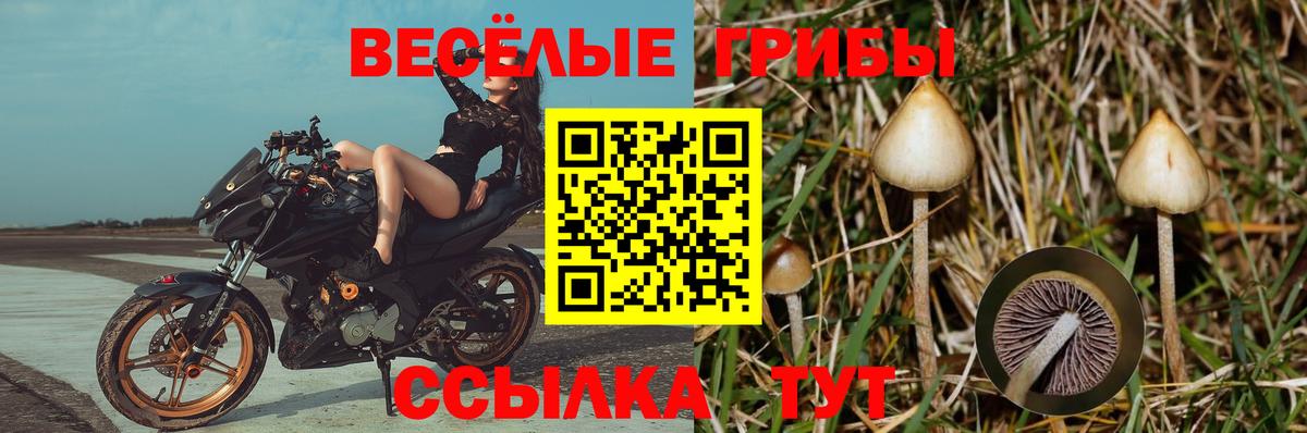 Псилоцибиновые грибы ЛСД Урюпинск
